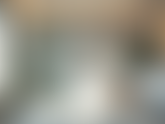 Enhance Your Bathroom with Frameless Shower Door Installation