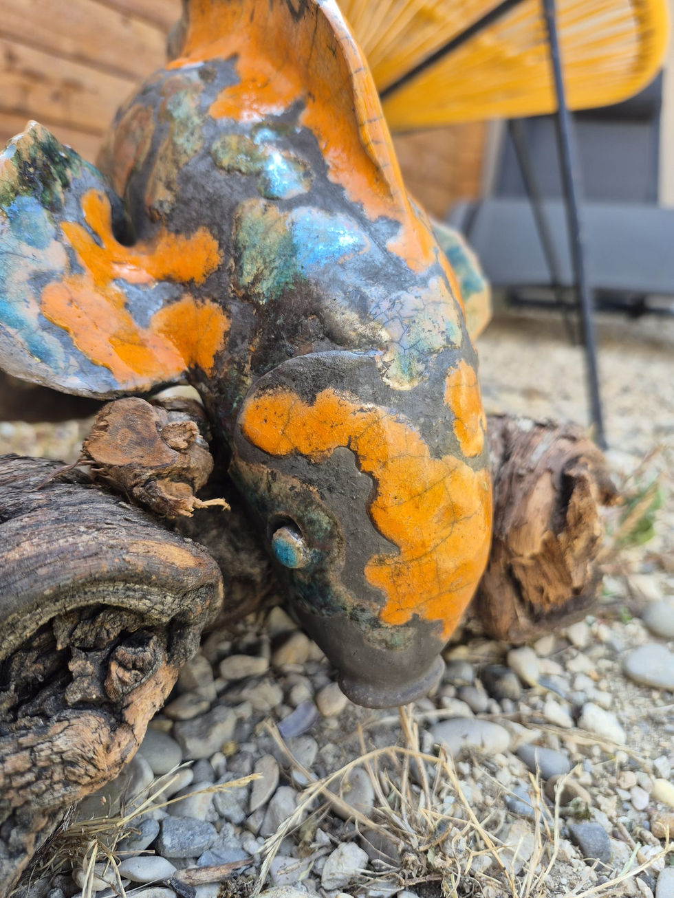 carpe koï orange et bleue