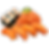 *Salmon Lover