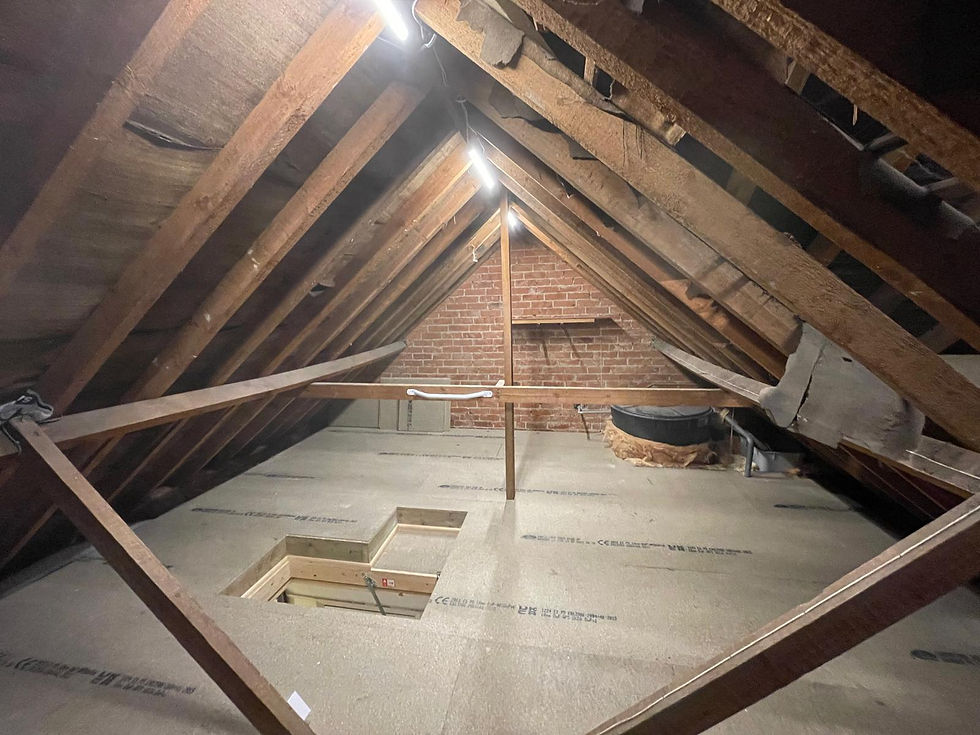 WhatsApp Image 2026-03-16 at 15.55.18.jpeg