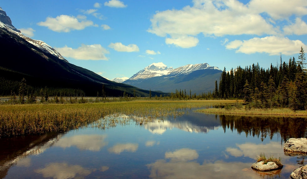SUNWAPTA - LAKE LOUISE_158.jpg
