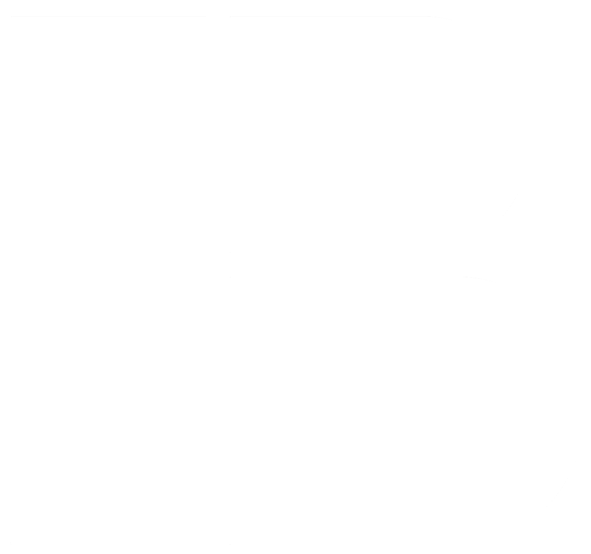 Berkeley USA logo_edited_edited.png