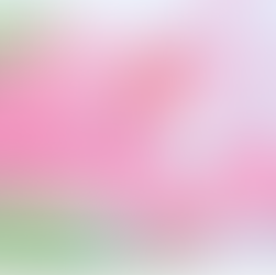 Buy Modafinil in Canada in 2025