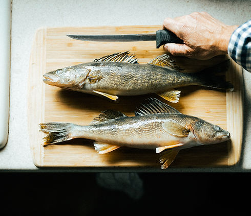 Simms Webpage-28.jpg