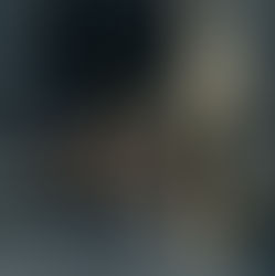 Spring Has Arrived: Rising Trout & Echoing Gobbles