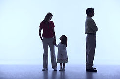 Family Dispute_edited.jpg