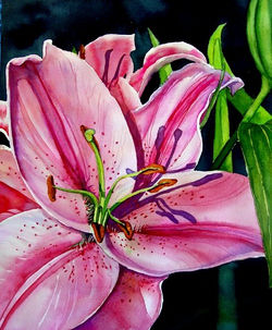 2311_48372302975_1061_n