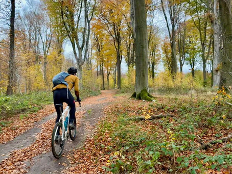 spring classic gravel plugplug