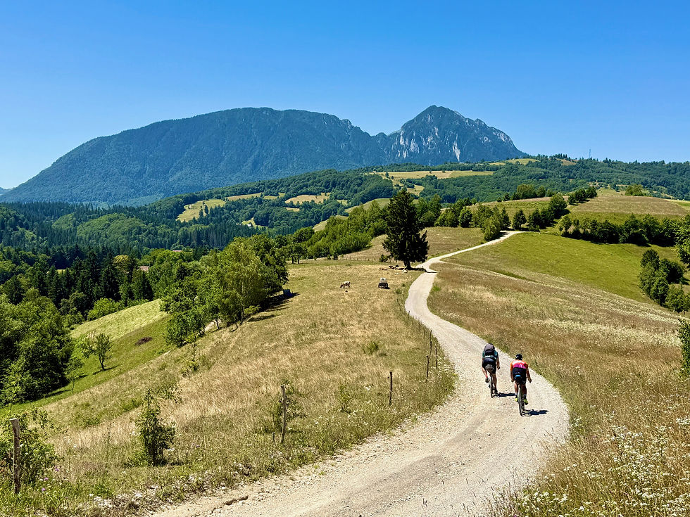 Duizend bomen en Karpaten: gravelbiken in Roemeniƫ