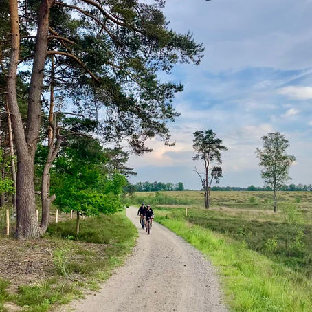 PlugPlug Limburg: Groen groen gravel zó groen