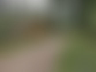 PlugPlug Veluwe bikepacker: hét gravelwalhalla van Nederland