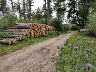PlugPlug Veluwe bikepacker: hét gravelwalhalla van Nederland