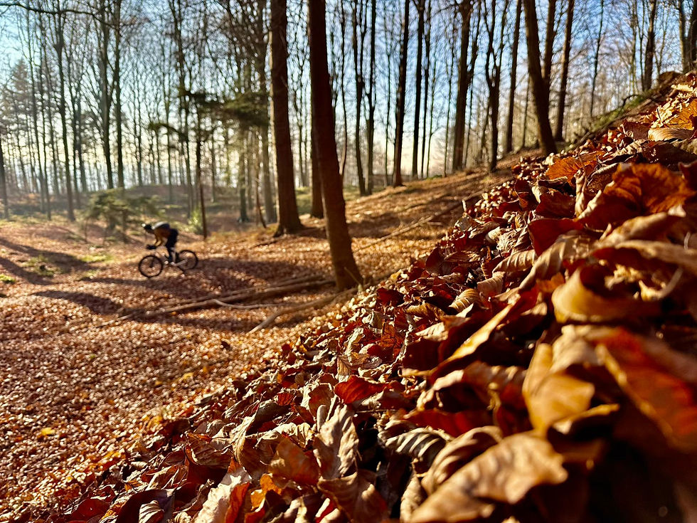 Muziekbos gravel gravelroute PlugPlug