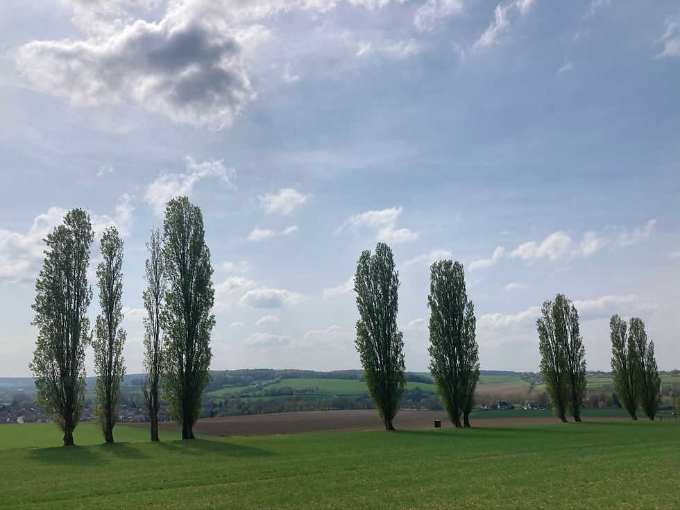 Limburg gravel gravelroute GPX