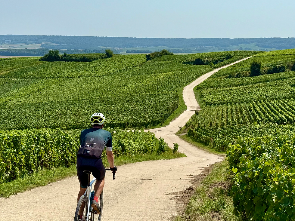 Champagne Frankrijk gravelbike gravel