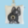Boston Terrier on White Background