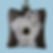 white German Spitz on brown background