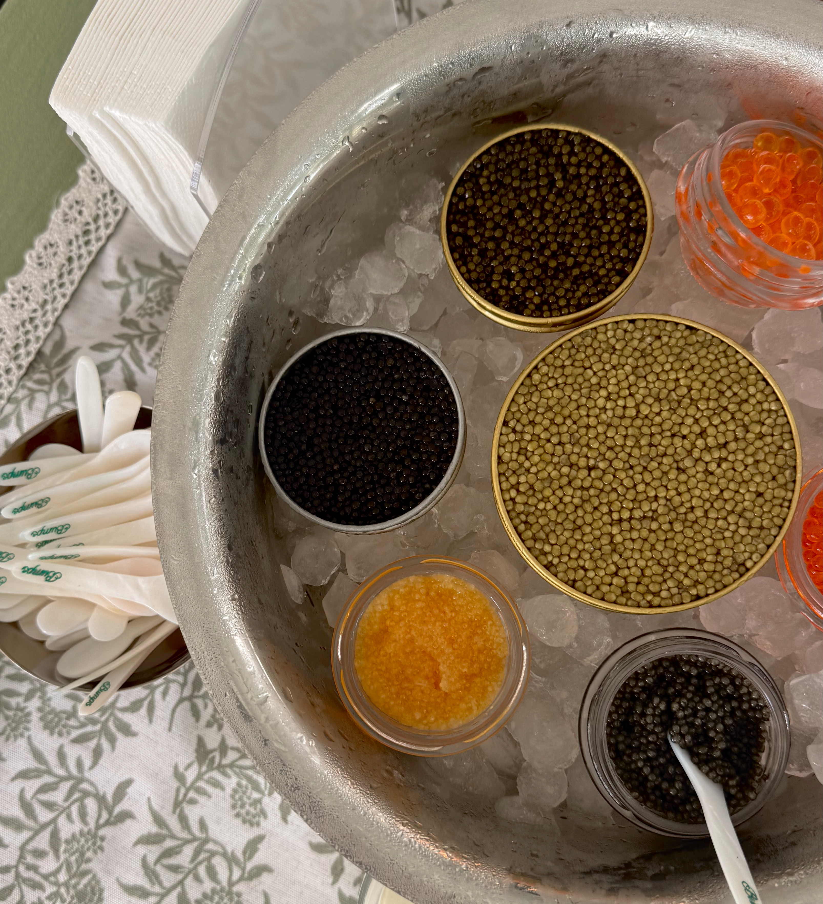 Arranged Food and Objects