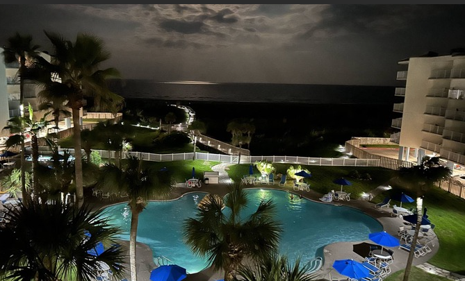 Wedding Audri Jowers & Gunner Pybus