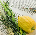 Sukkot.jpg