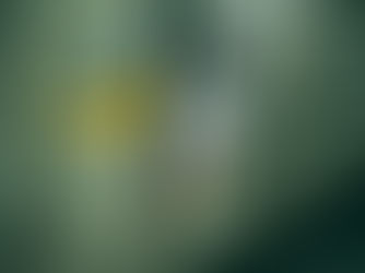 Faith Under Fire: The Church Serving Through War in Ukraine