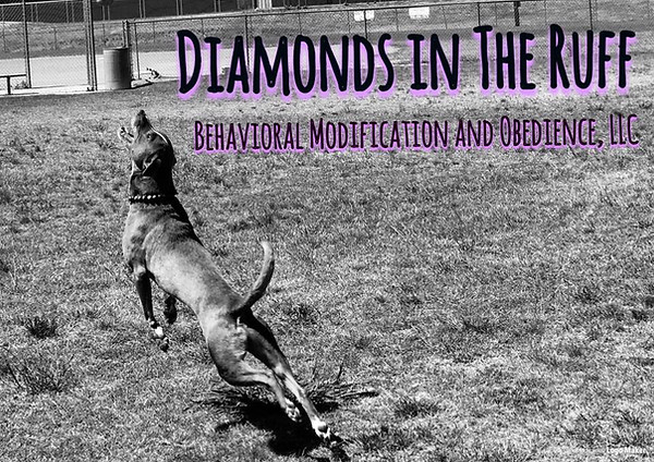 Diamonds in the Ruff Behavioral Modification and Obedience, LLC.