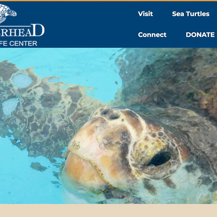 See Your Impact - Loggerhead Marine Life Center - Blueprint for Healthier Waters