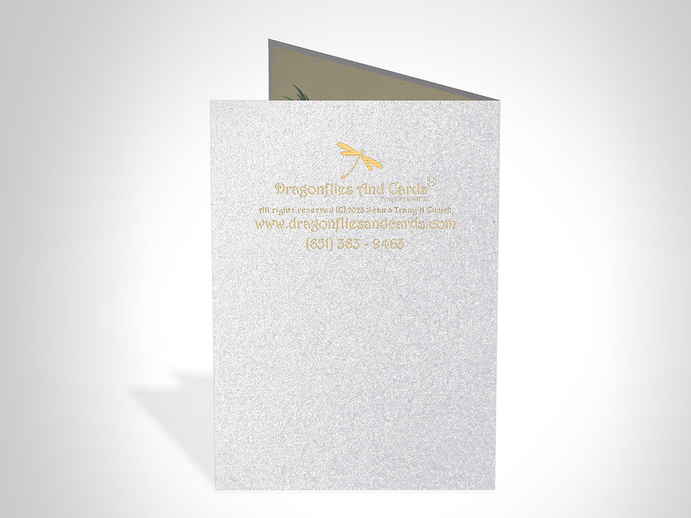 Thumbnail: Volleyball