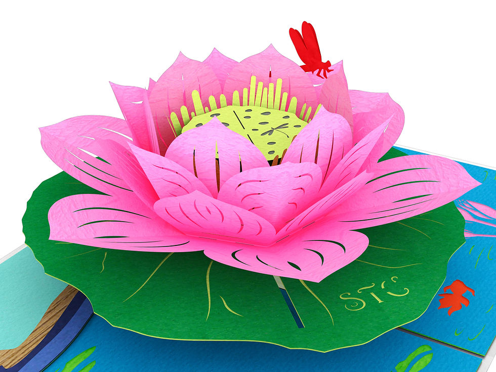 Thumbnail: Lotus Flower
