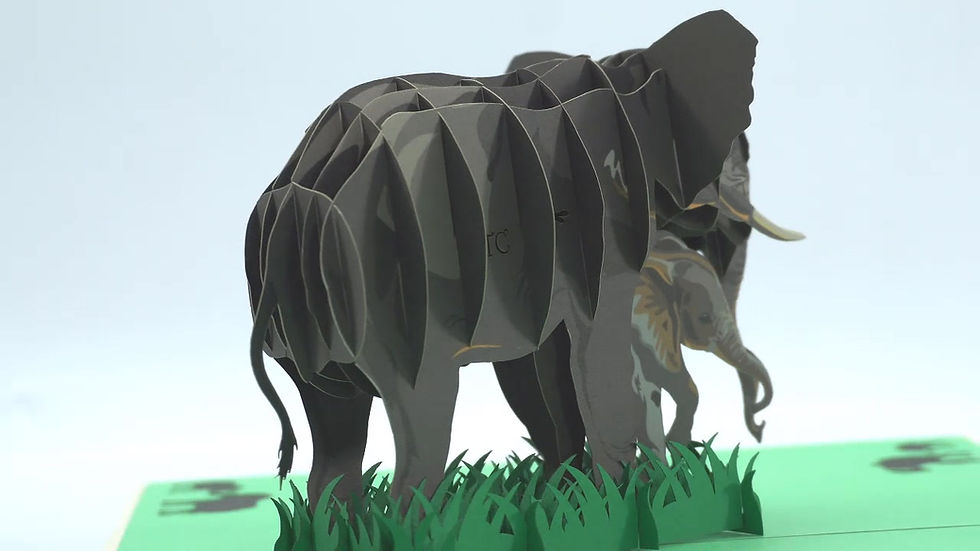 Thumbnail: Elephant Family