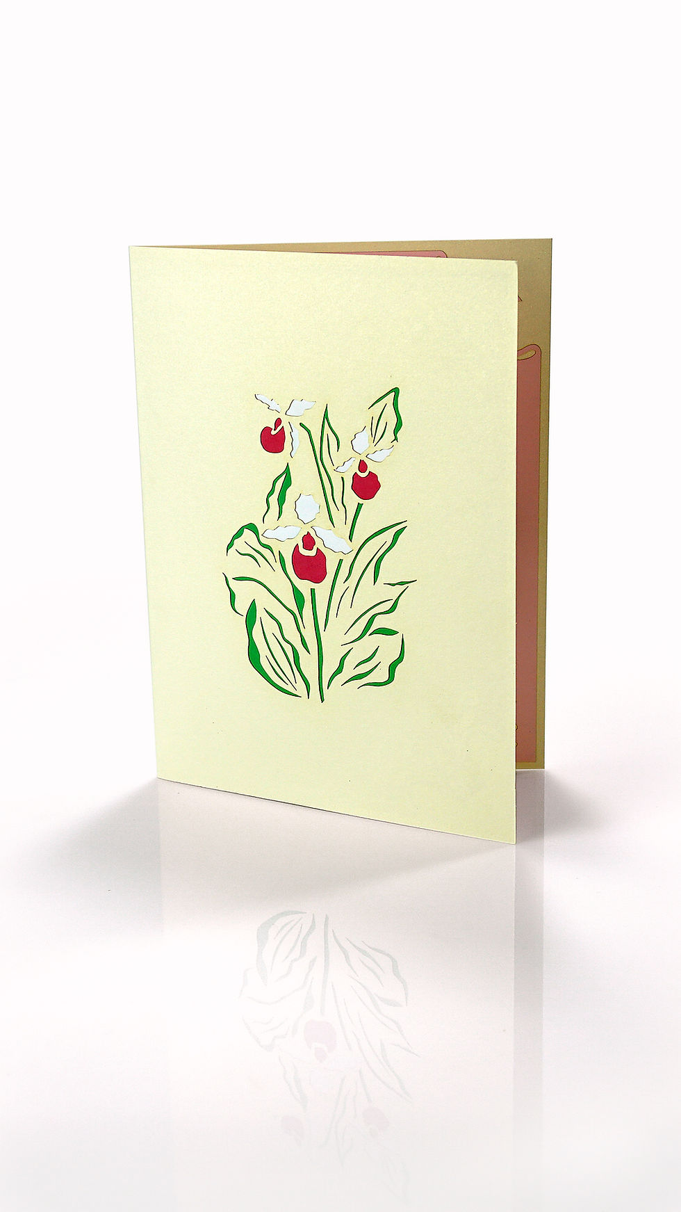 Thumbnail: Lady Slipper Flowers