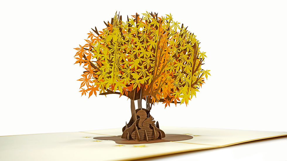 Thumbnail: Tree 3-Pack