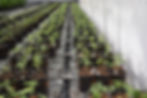 water conservation for sustainability