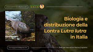 dispense lontra uff_page-0001.jpg