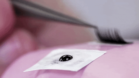 giphy-5.gif