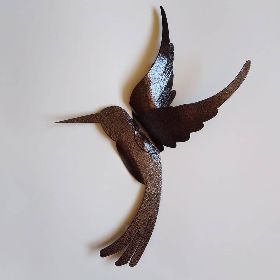 Miniatura: Colibrí con alas