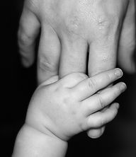 Baby hand holding smaller handing, signifying the work done by Barrister.Family