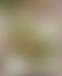 Recipes: Week of June 14, 2021