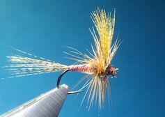 Red Quill