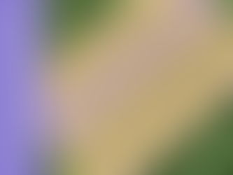 Lavender Dilly Dilly - British Country Garden Mosaic CAL