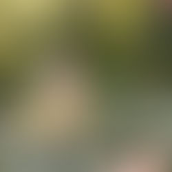 The Gift of Overexcitabilities