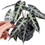 Thumbnail: Alocasia Bambino (Large)
