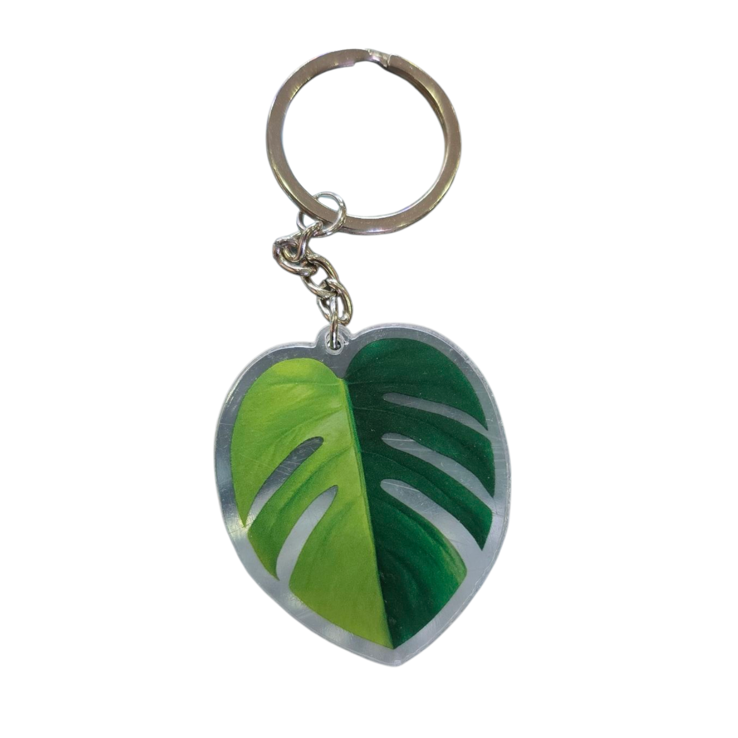 Monstera Aurea Keychain 