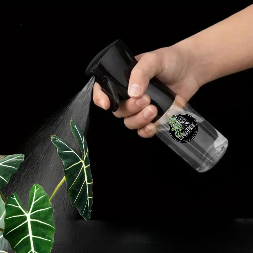 Thumbnail: Fine Mist Bottle - 300ml