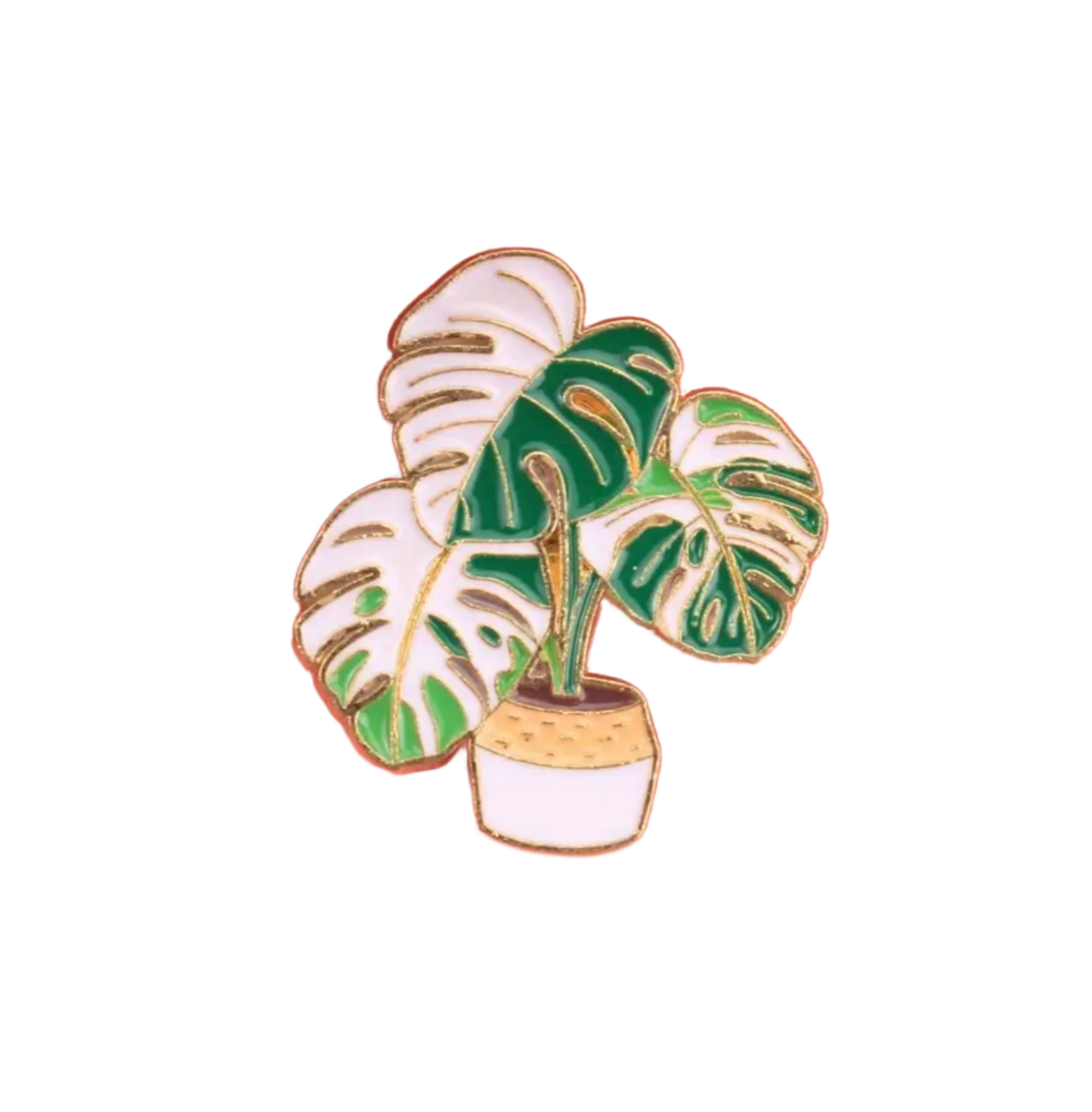 Monstera Albo Pin 