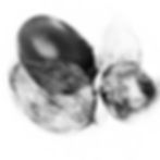 MK-Tomatillo-Drawing_LineDrawing-compressed.jpg