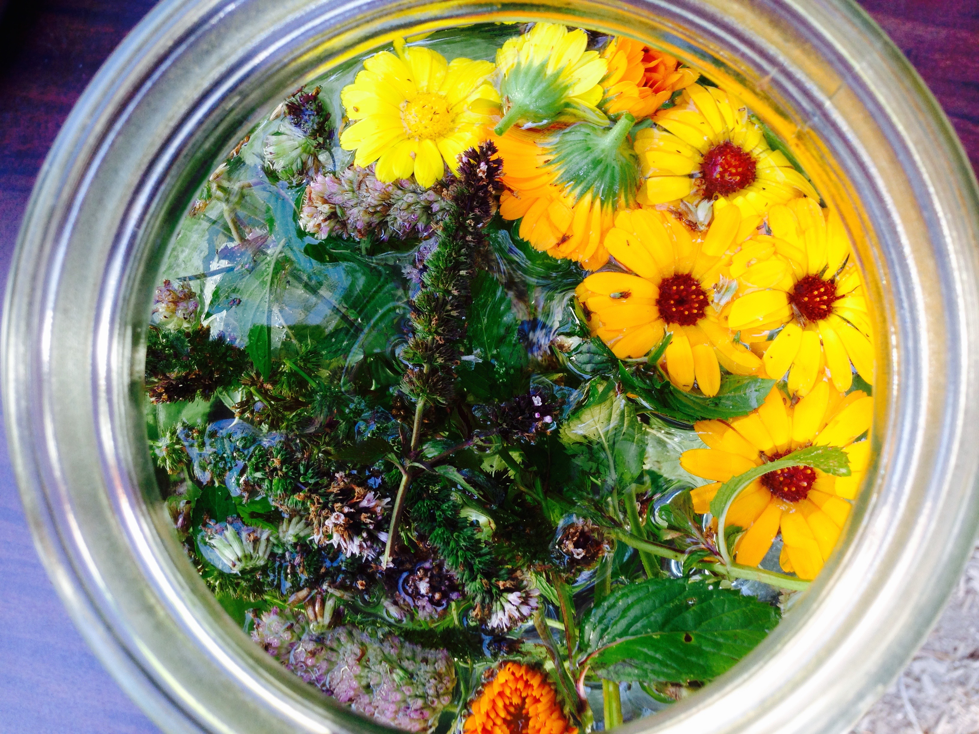 Herbal Tea!