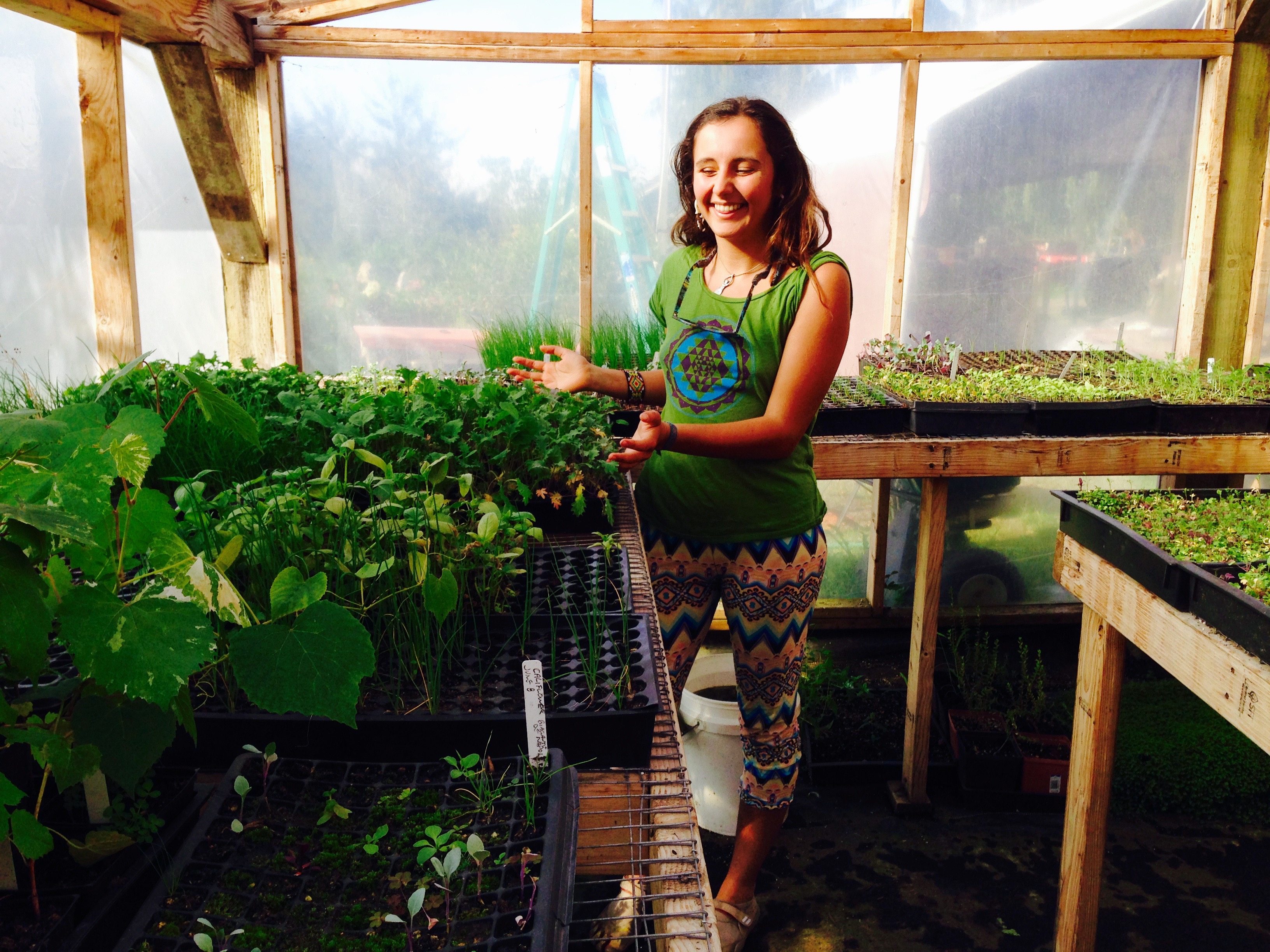 Anahata in the greenhouse!