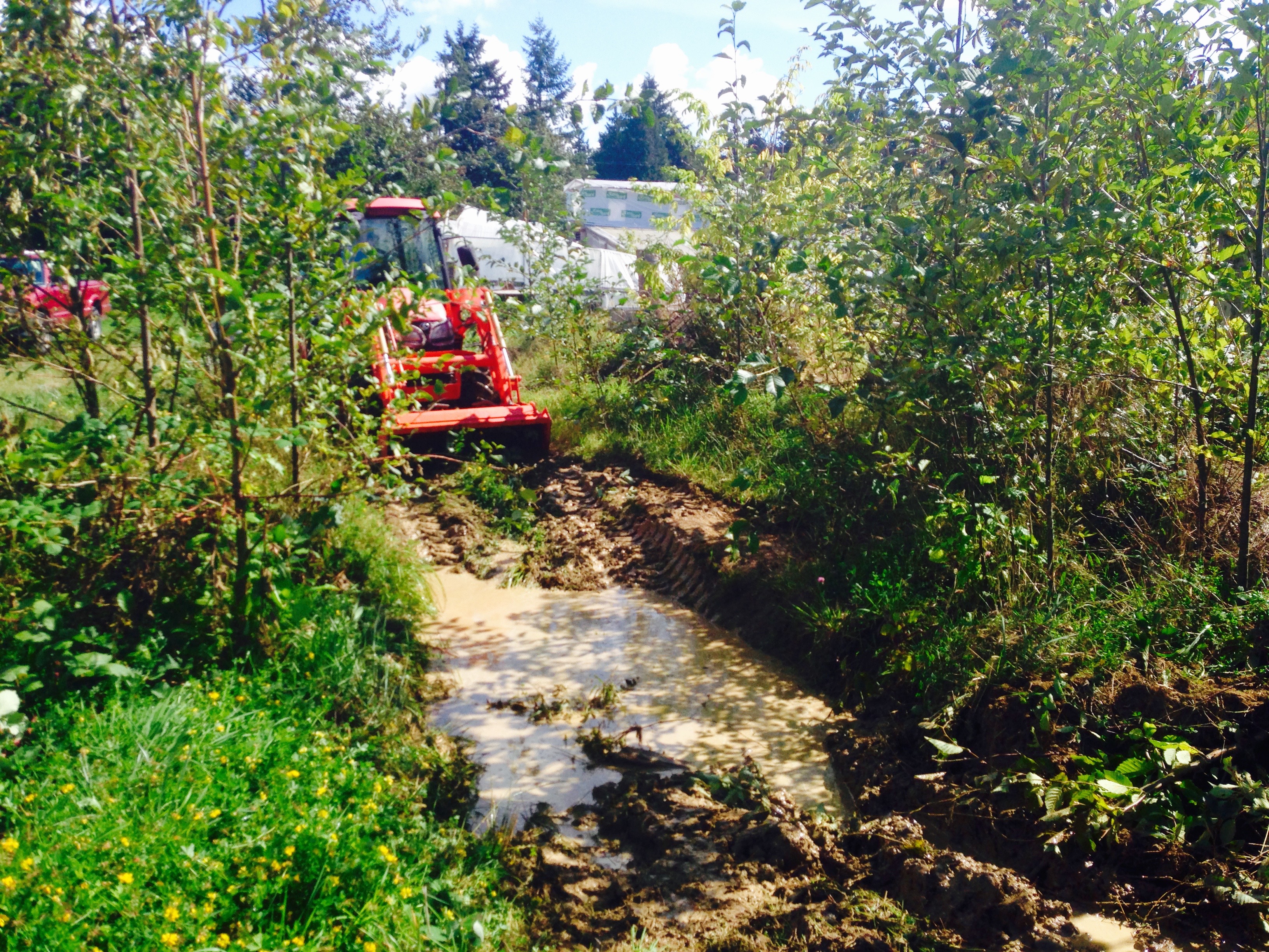 Wa'Gosh digging out a pond!