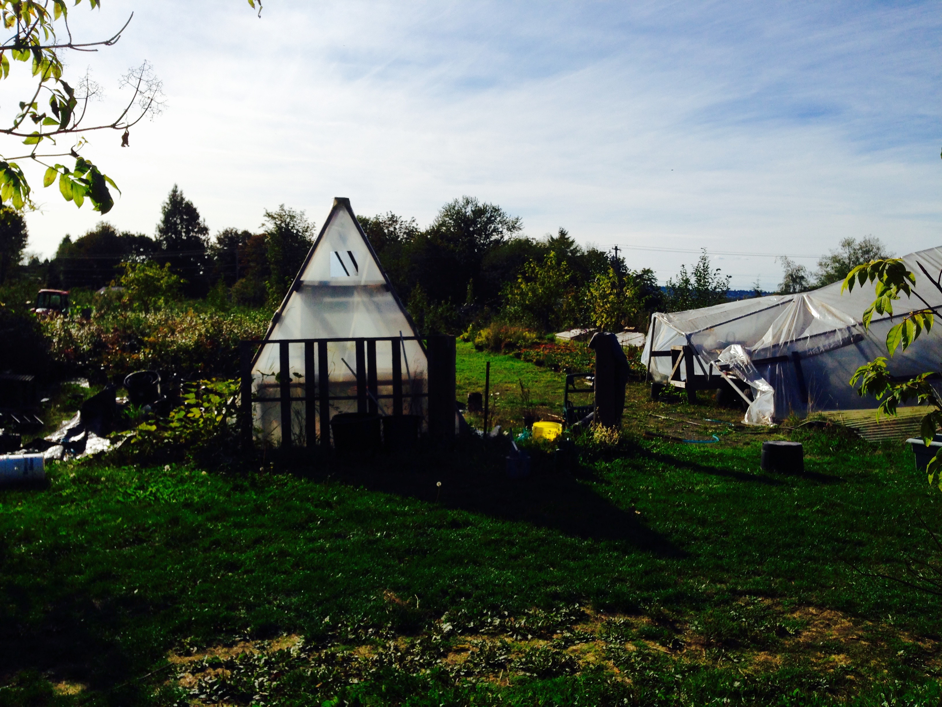 The farm!